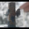 IMG_9755