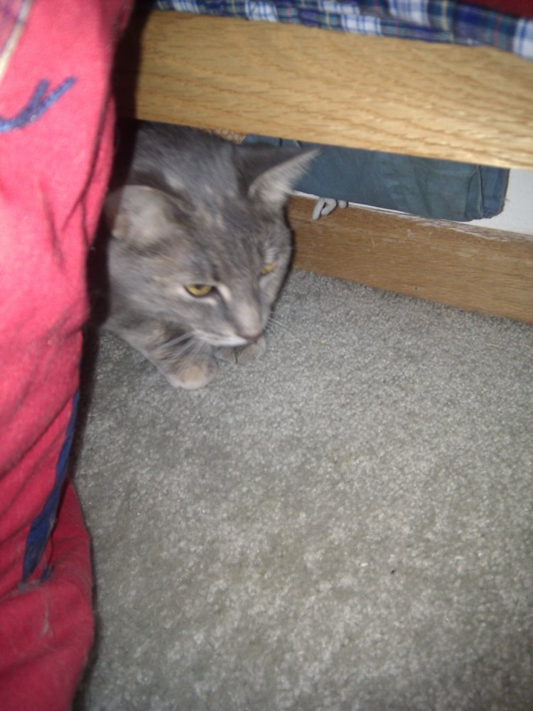 2010-07-23 15.23.13