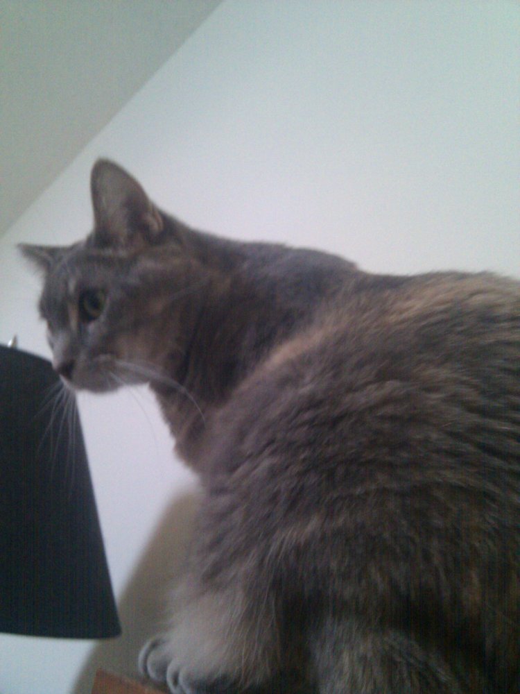 2011-08-26 16.46.09