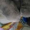 20160818_084129