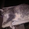 IMG_20171222_194715491
