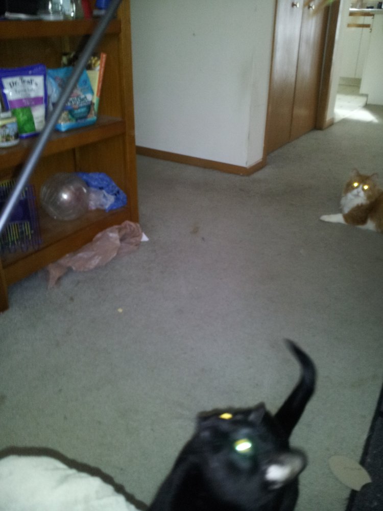 2013-02-23 10.41.15