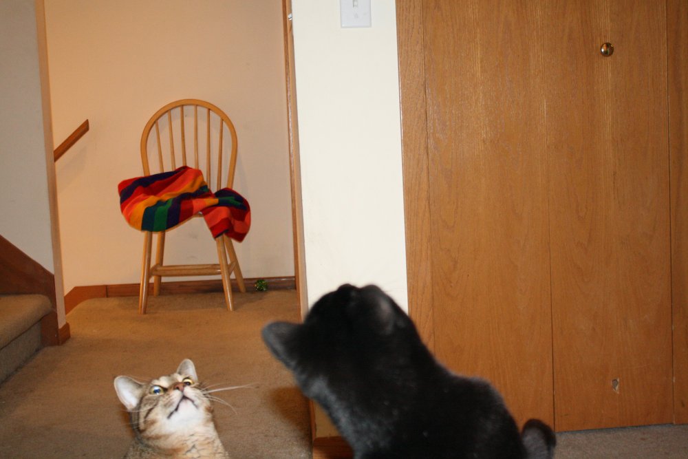 2013-02-28 01.29.37