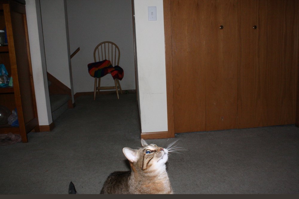 2013-02-28 01.36.01