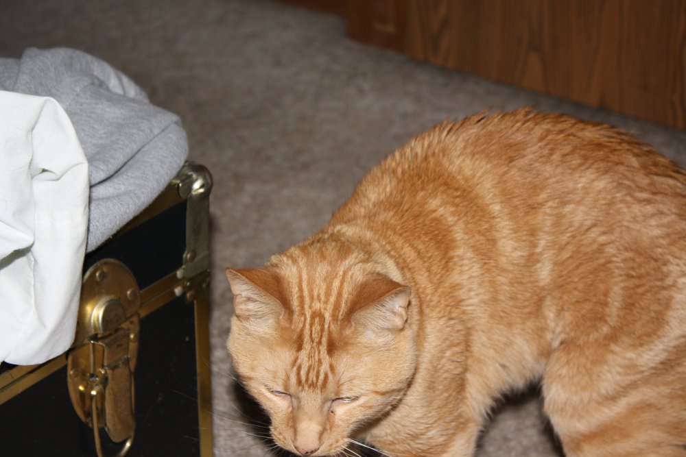 Picture - 2-FEB-2009 252