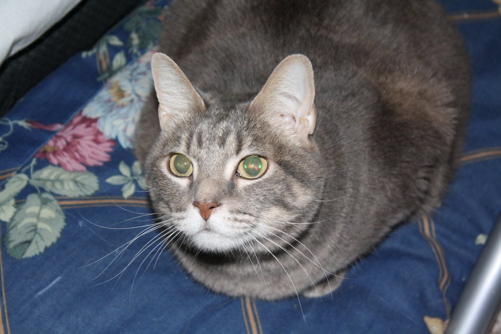 Picture - 2-FEB-2009 253