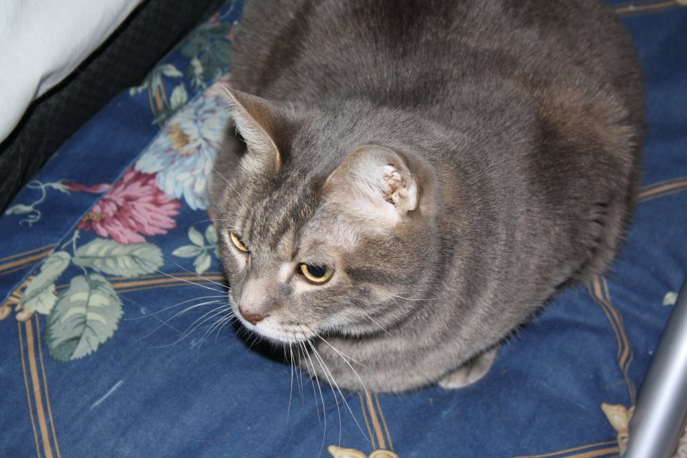 Picture - 2-FEB-2009 255