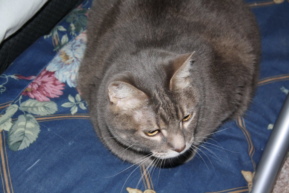 Picture - 2-FEB-2009 256