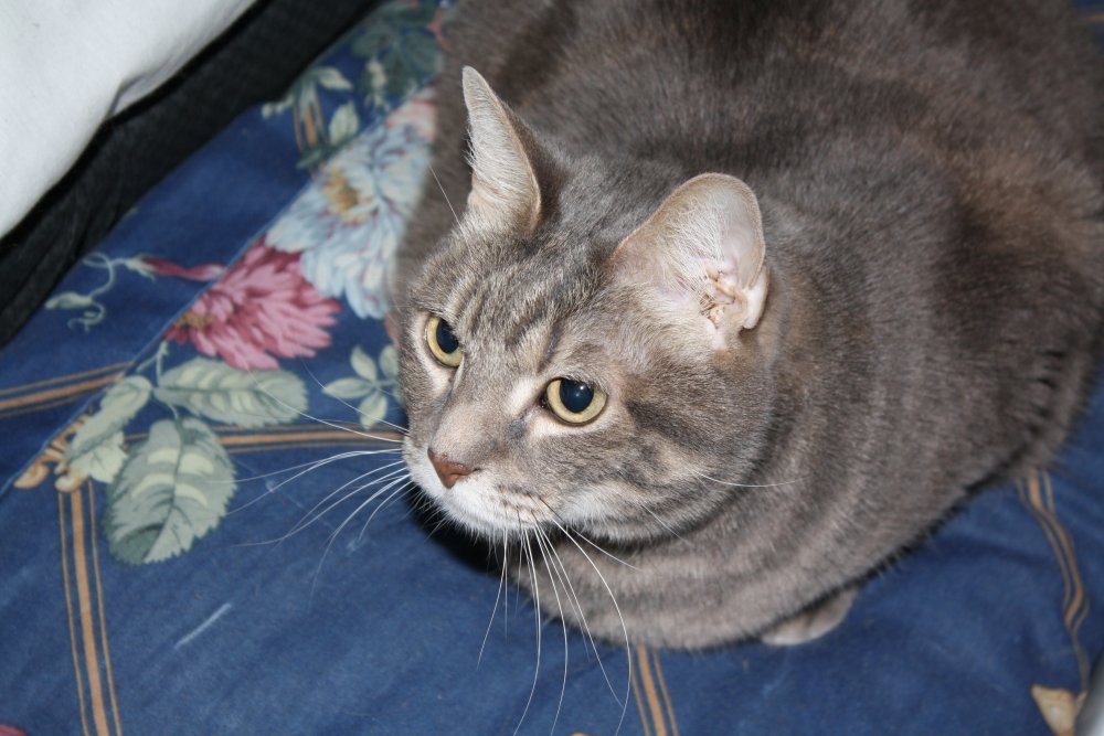 Picture - 2-FEB-2009 257