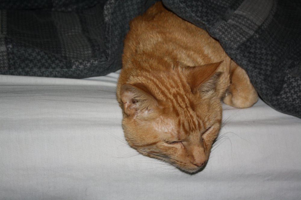 Picture - 2-FEB-2009 259