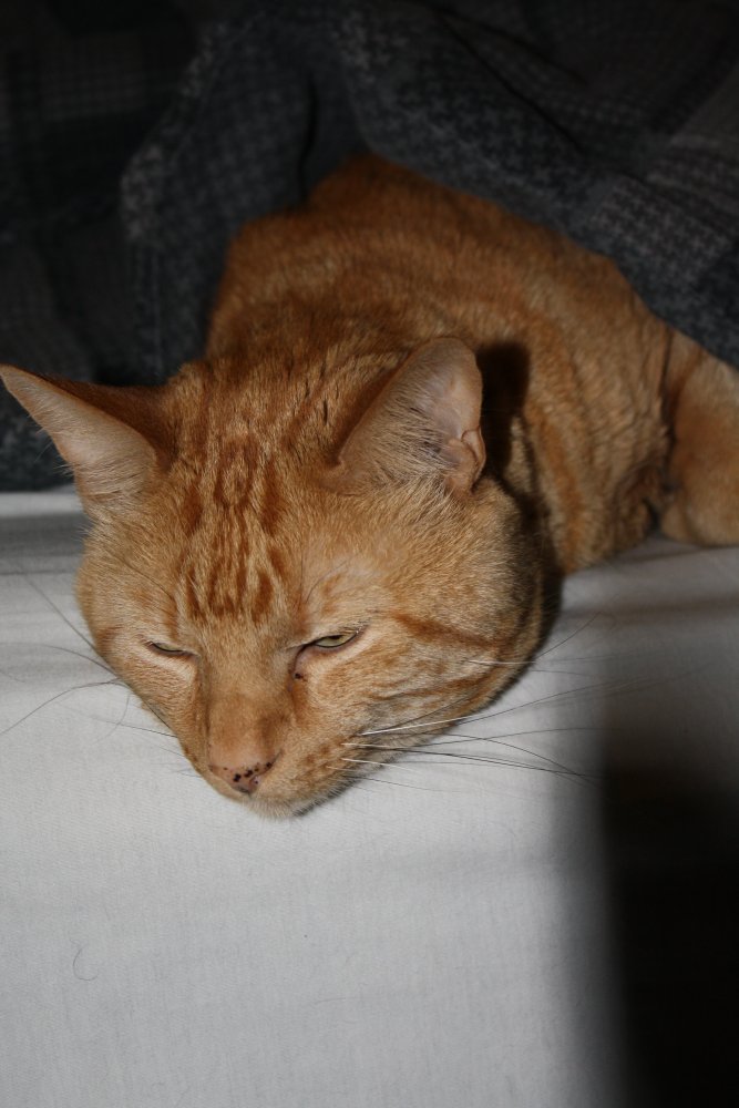 Picture - 2-FEB-2009 260