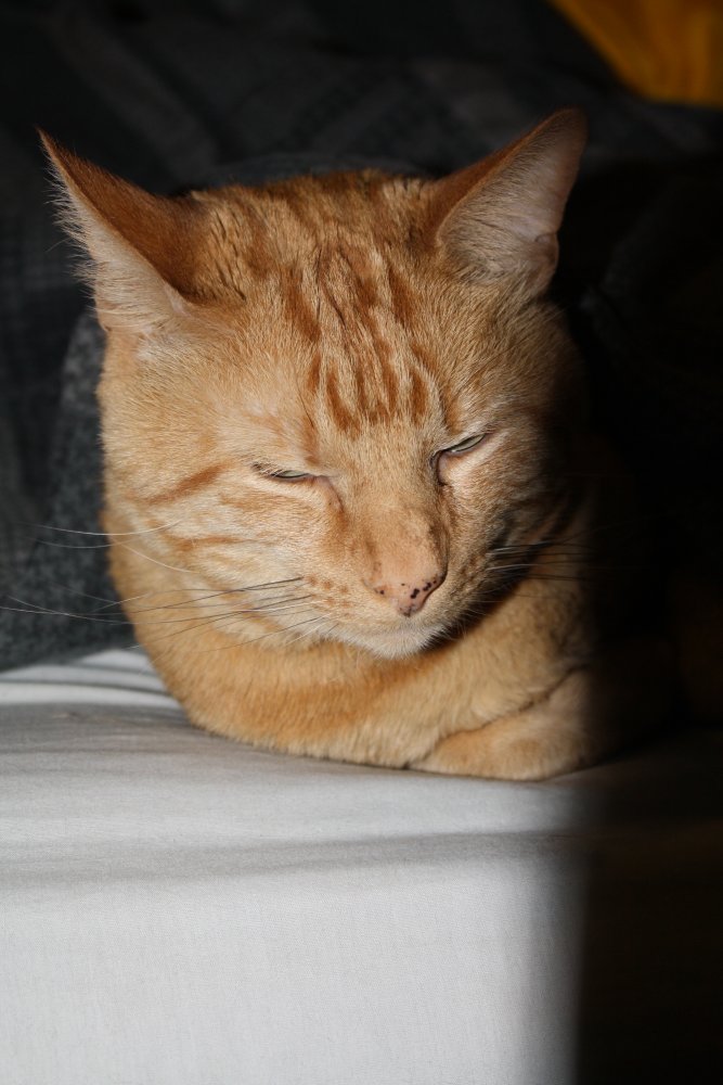 Picture - 2-FEB-2009 267