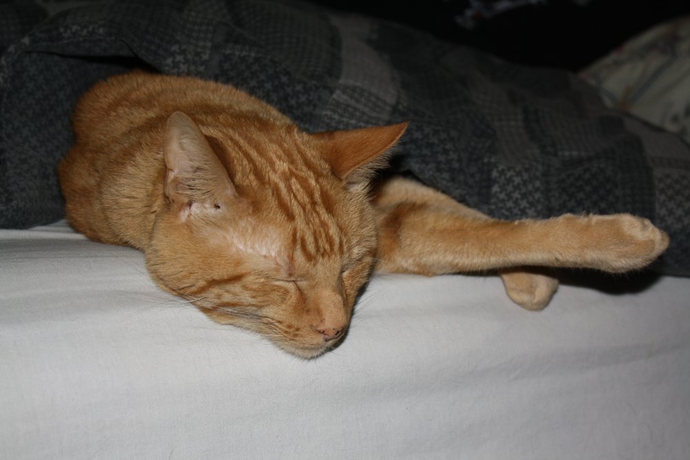 Picture - 2-FEB-2009 273