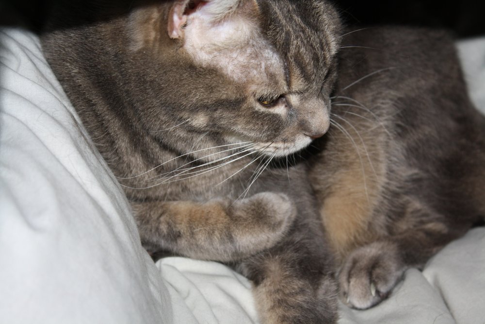 Picture - 2-FEB-2009 275