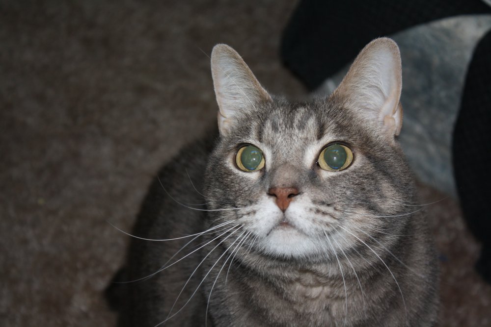 Picture - 2-FEB-2009 277