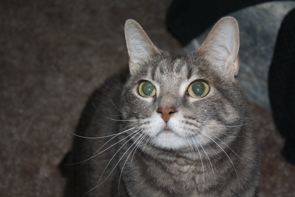 Picture - 2-FEB-2009 278