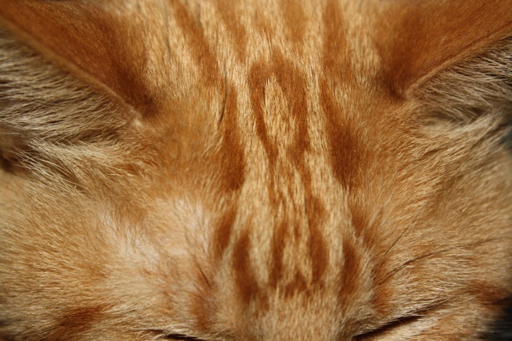 Picture - 2-FEB-2009 281