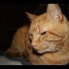 Picture - 2-FEB-2009 287