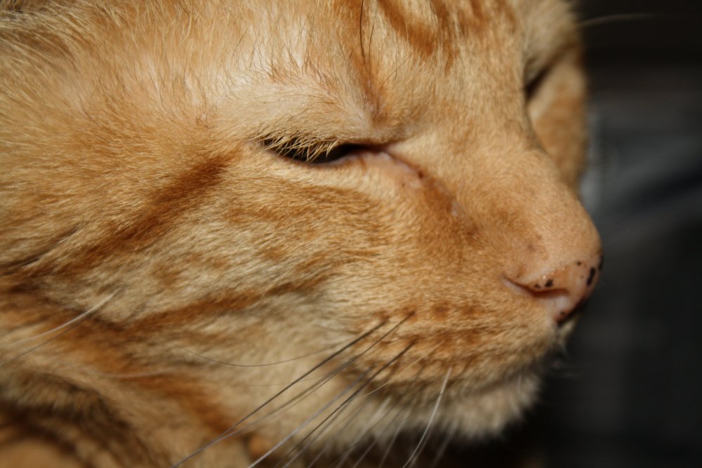 Picture - 2-FEB-2009 288