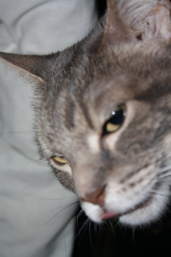 Picture - 2-FEB-2009 306