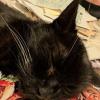 PXL_20250818_030537916