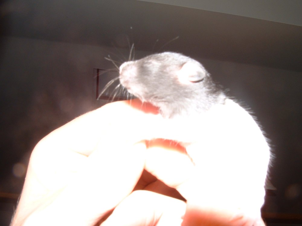 dscf0074
