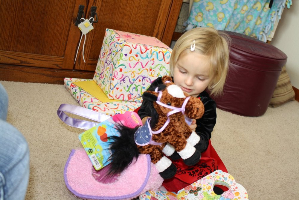 2010-01-31-141632