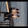 2012-05-29-204740