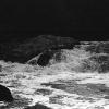 Film