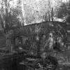 Roll 09 - 2020-10-31