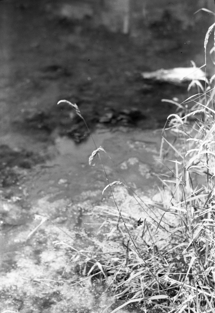 2021-07-03T14_43_00