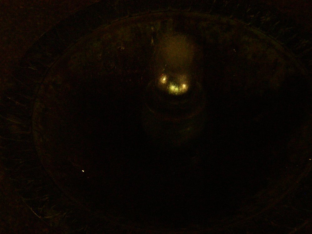 p7210919