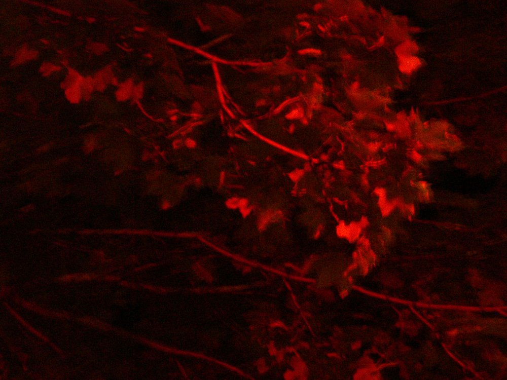 p7210934