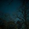 PXL_20251113_021632162.NIGHT