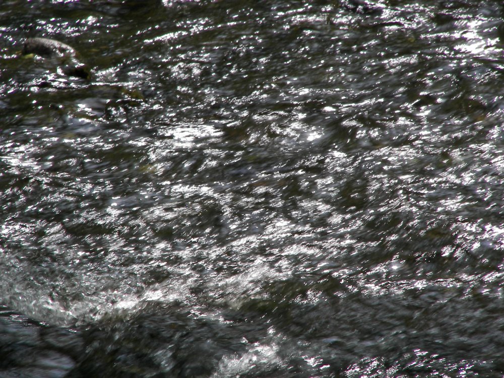 100_0486