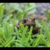 2021-07-03T16_23_02
