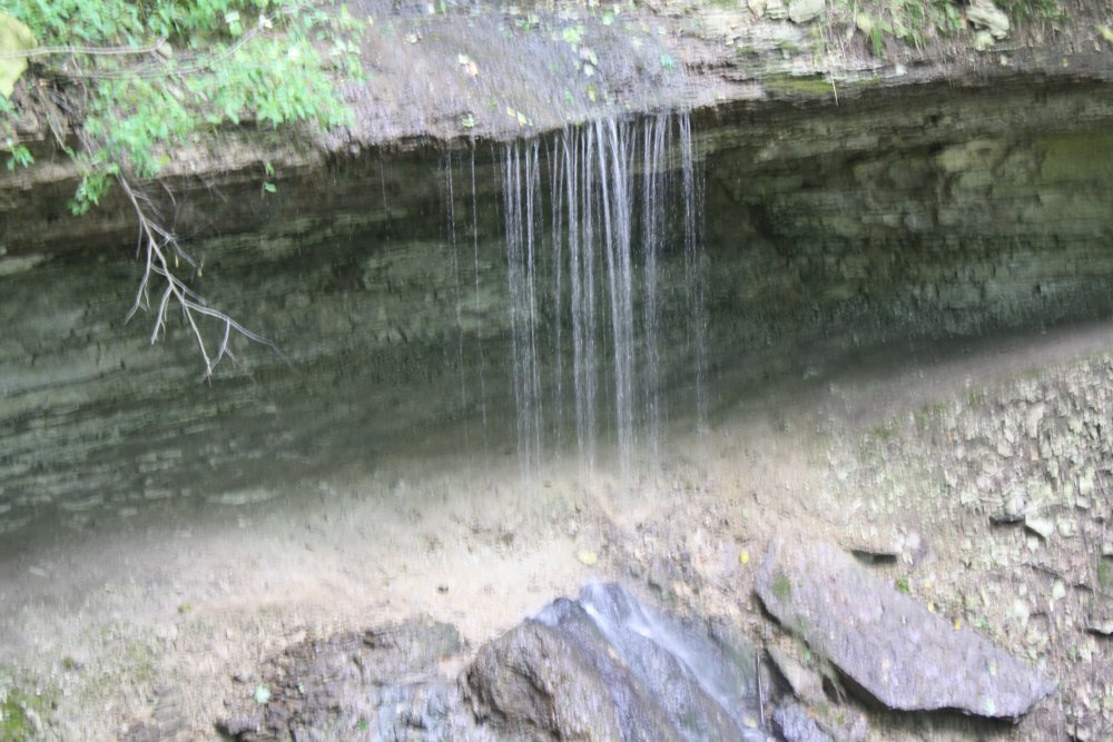 IMG_8412.JPG