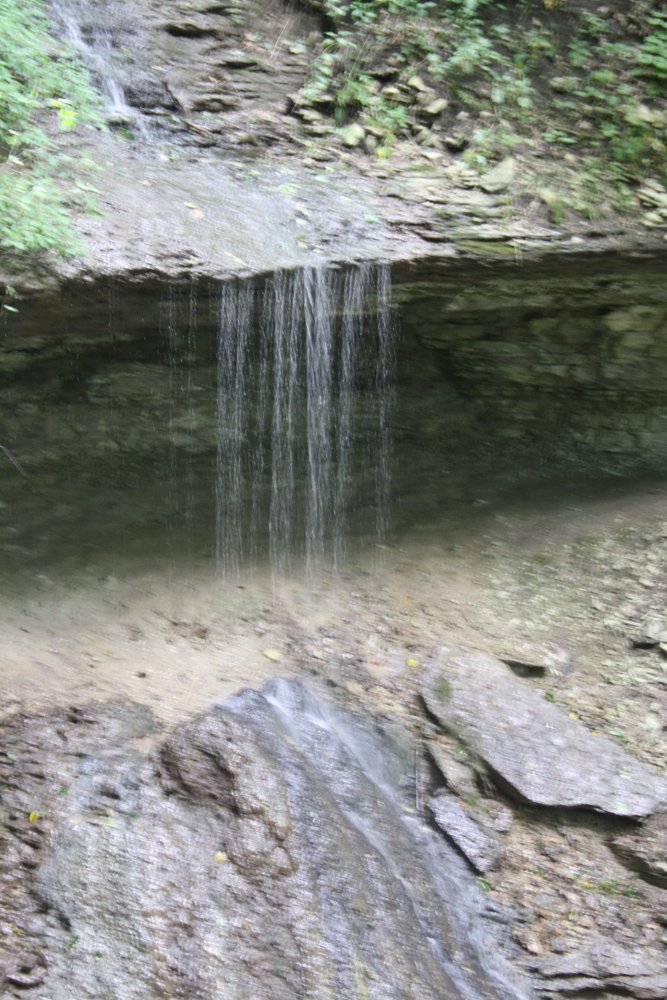 IMG_8413.JPG