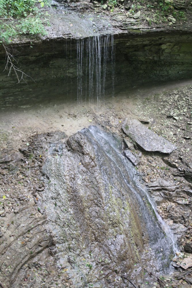 IMG_8415.JPG