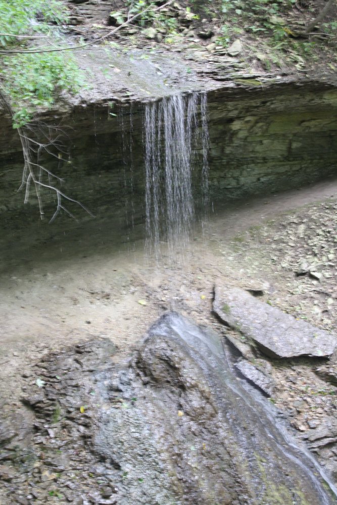 IMG_8416.JPG