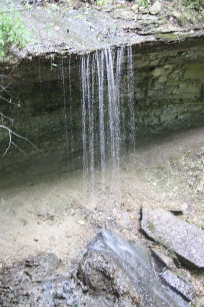IMG_8417.JPG