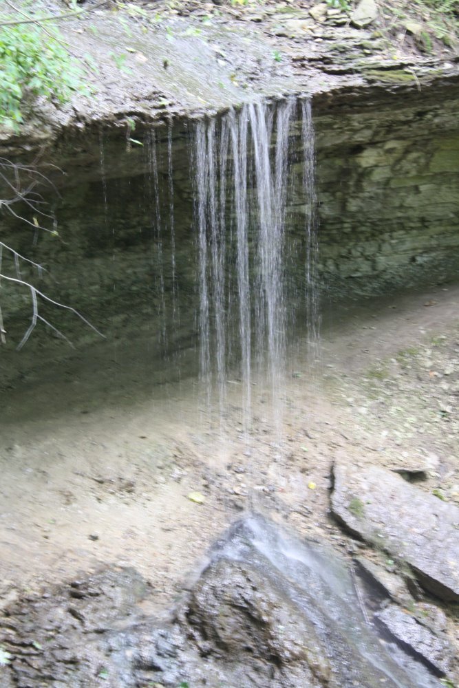 IMG_8418.JPG
