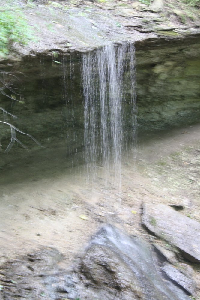 IMG_8419.JPG