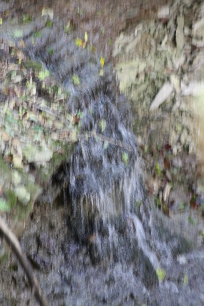 IMG_8439.JPG
