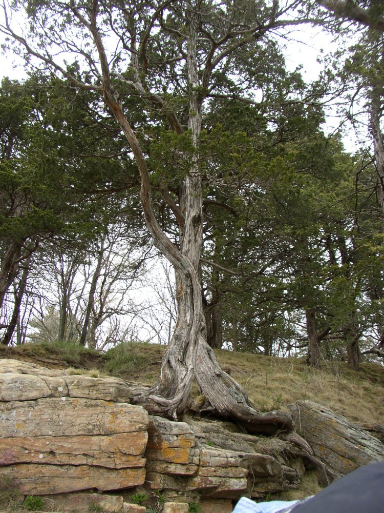 p5240491