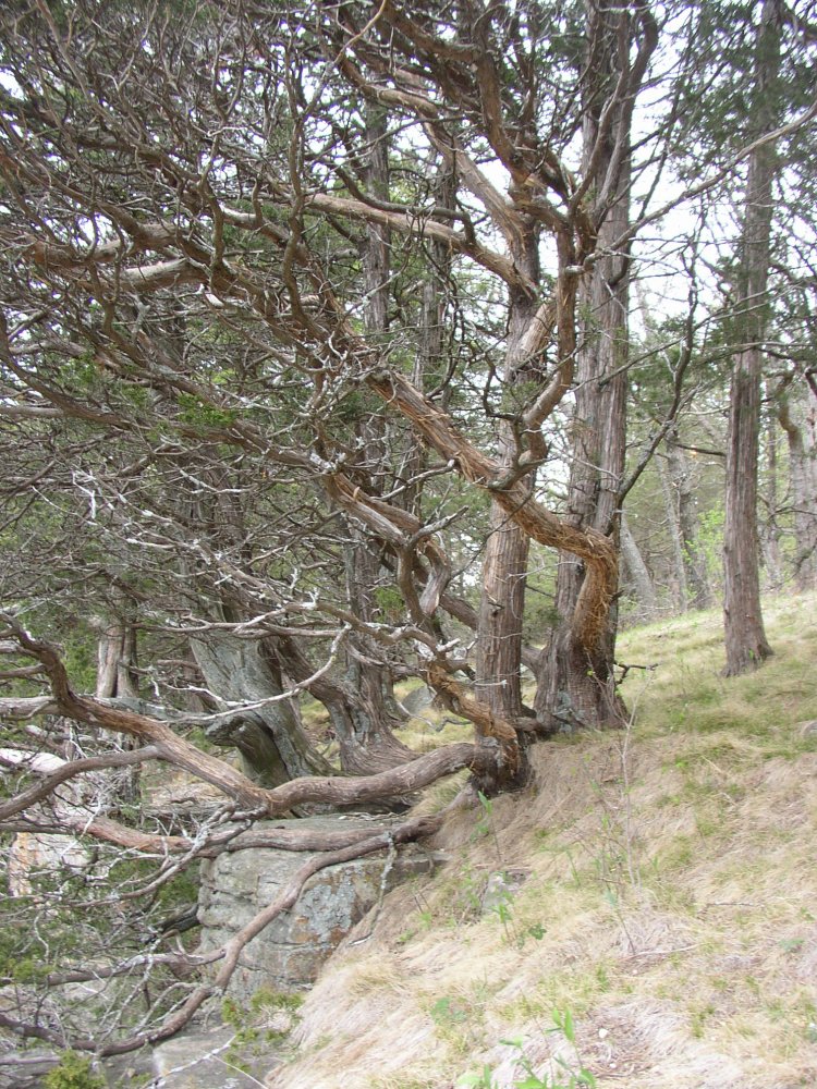 p5240510