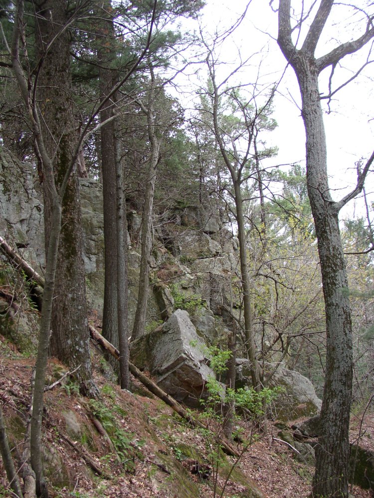 p5240520