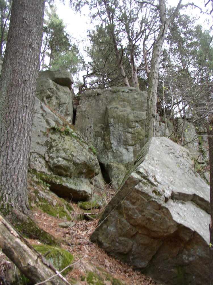 p5240521