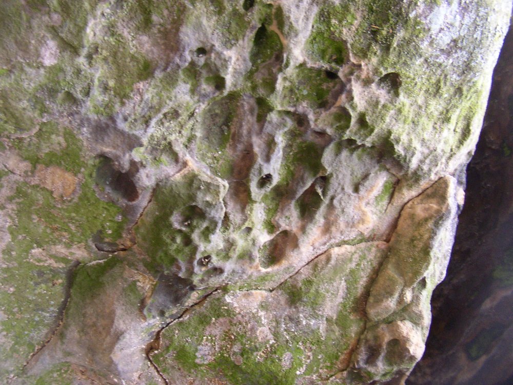 p5240546