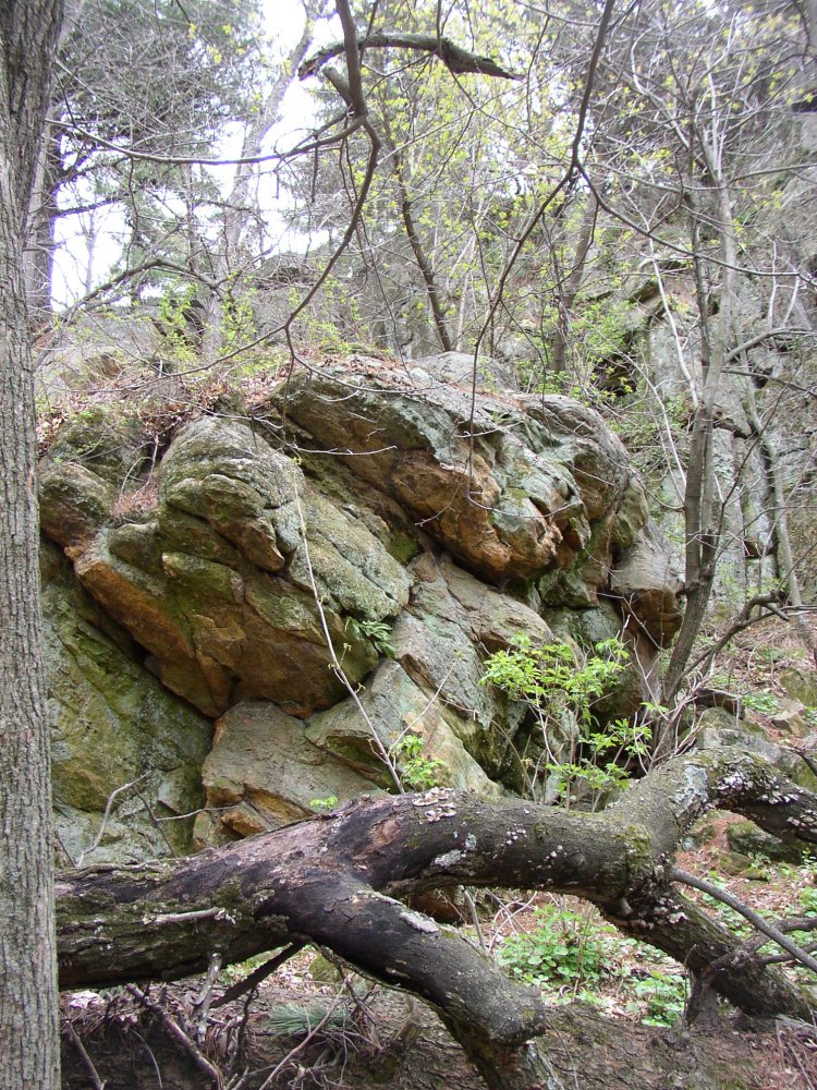 p5240558